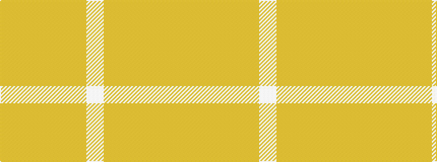 idealised woven sample of pattern WYYYYY
