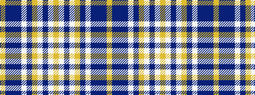 idealised woven sample of pattern YBBBWBYWBWY