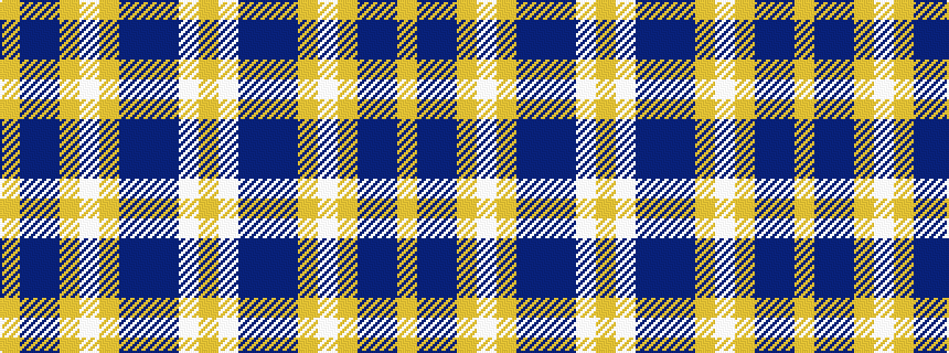 idealised woven sample of pattern YBBYWYBBBWY