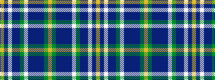 idealised woven sample of pattern YBWBBGWBBBBGY
