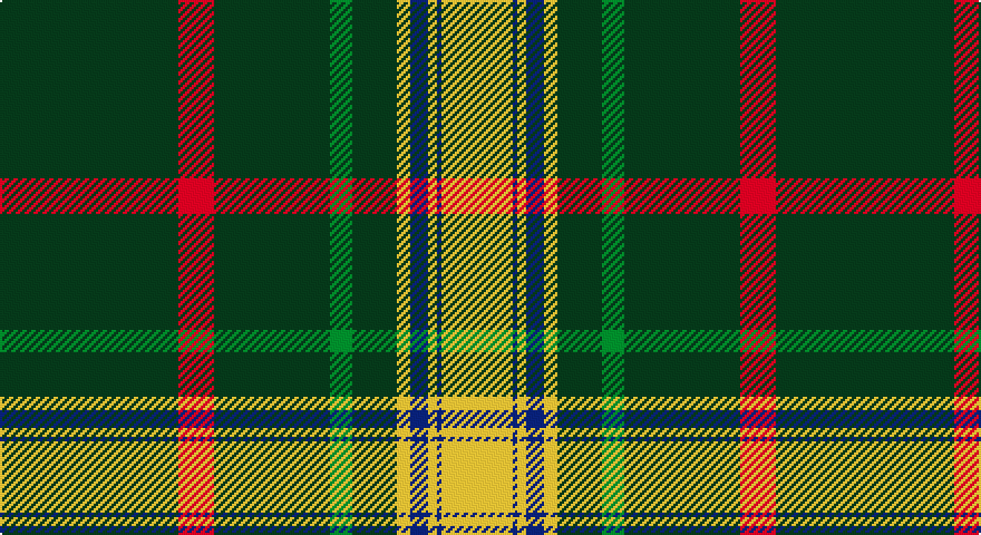 DG/80 R16 DG52 G10 DG20 LY6 DB8 LY4 DB2 LY/32 tartan