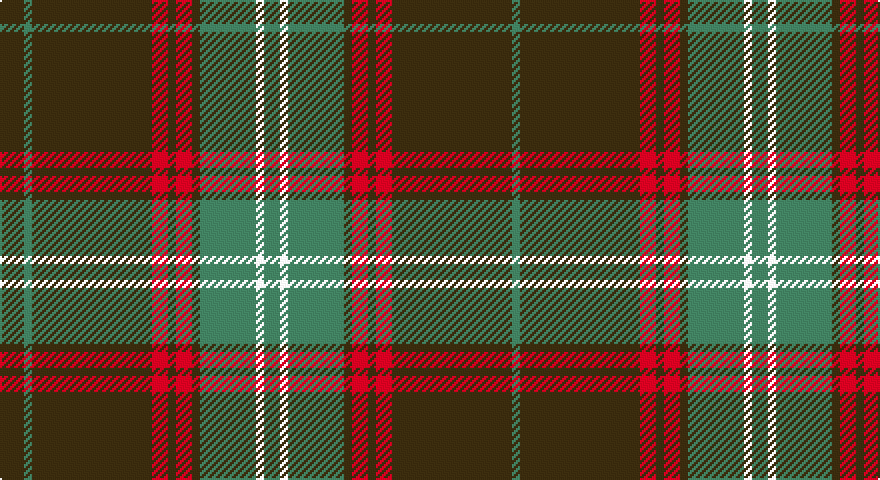 DY/12 G4 DY60 R8 DY4 R8 DY4 G28 W4 G/8 tartan