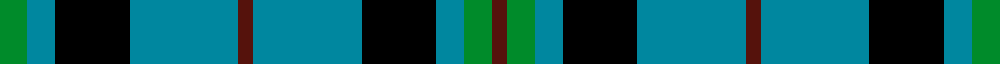 Notre Dame Marching Guard