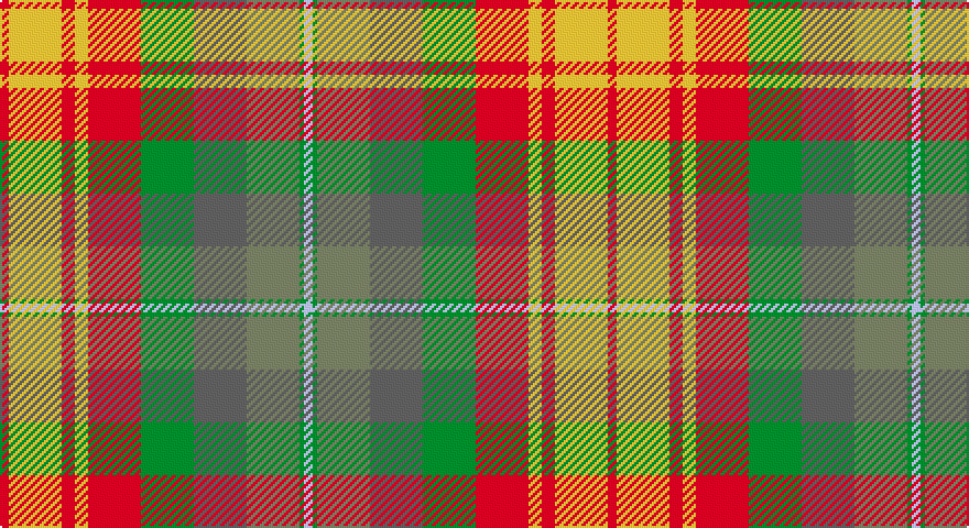 R/4 LY24 R6 LY6 R24 G24 N24 Y24 G2 LB/4 tartan