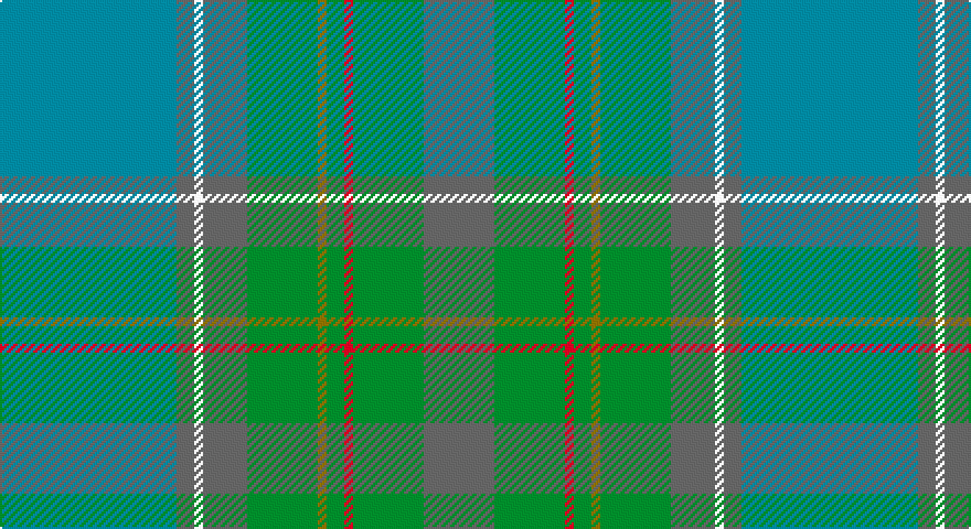 T/80 N8 W4 N20 G32 Y4 G8 R4 G32 N/32 tartan