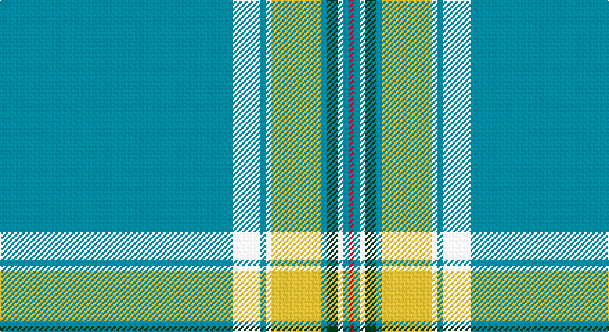 T/168 W20 T4 W4 LY36 T4 DG8 W4 T4 R/4 tartan