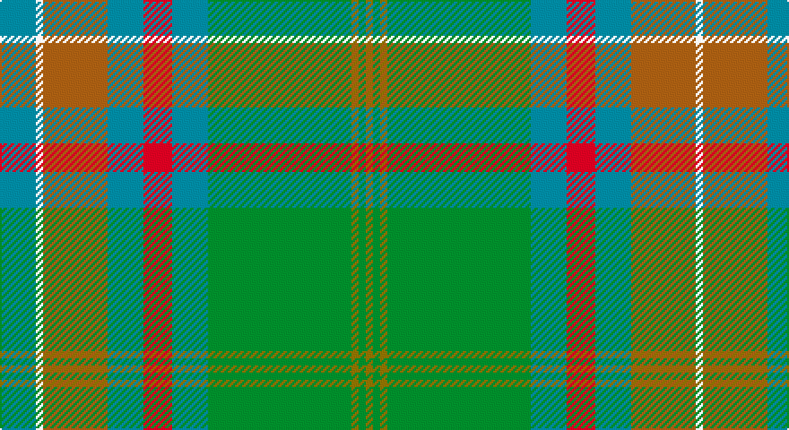 T/20 W4 O36 T20 R16 T20 G80 Y4 G4 Y/4 tartan