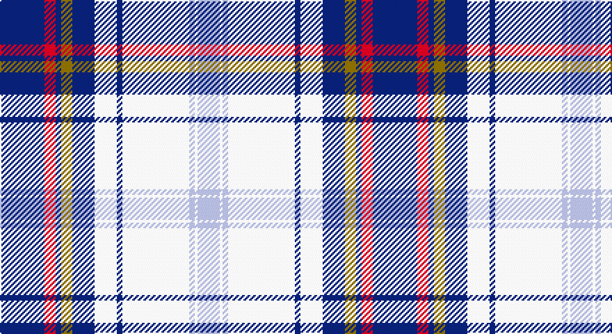 DB/32 R8 DB4 Y8 DB16 W16 DB4 W48 LB4 W2 LB/16 tartan