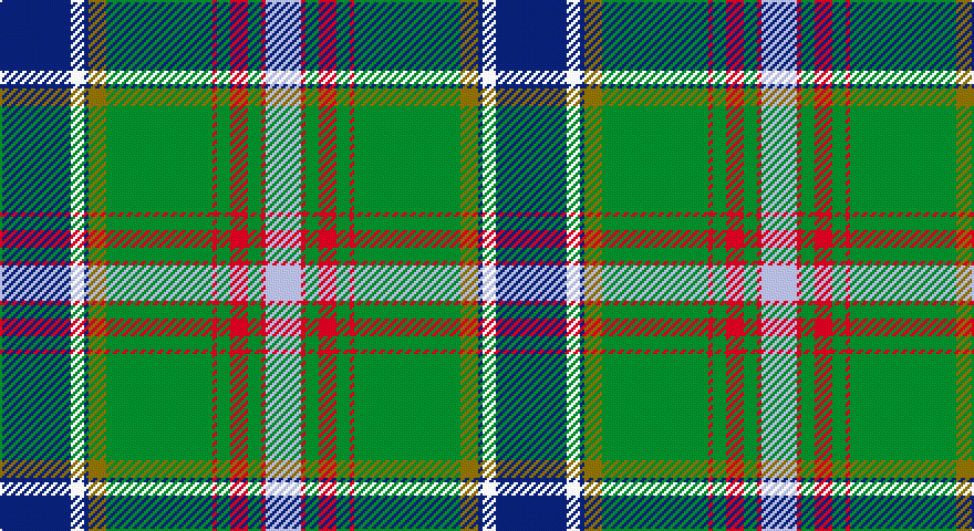 DB/32 W6 DB2 Y8 G48 R2 G6 R8 G6 R2 LB/16 tartan