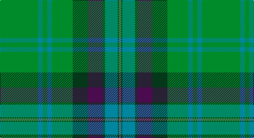 G/66 T8 G8 T8 G36 DG26 DP26 DG4 T22 DG2 N/4 tartan