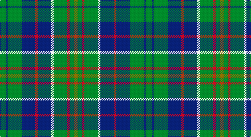 G/10 DB4 G24 DB24 R4 DB24 W4 G24 R4 G8 Y/6 tartan