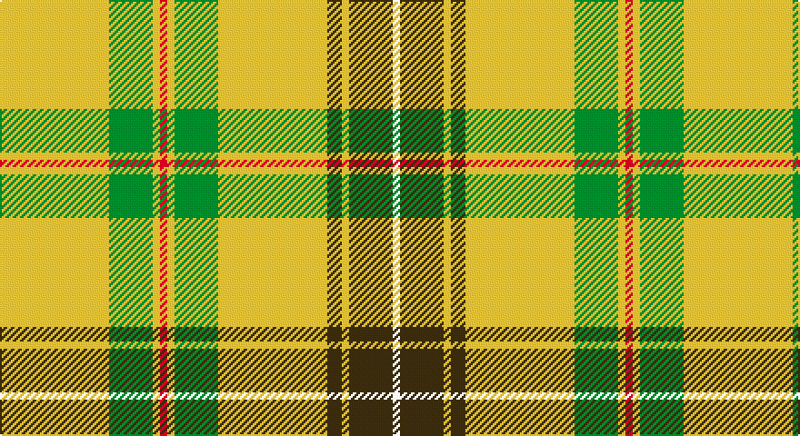 LY/60 G24 LY4 R4 LY4 G24 LY60 DY8 LY4 DY24 W/4 tartan