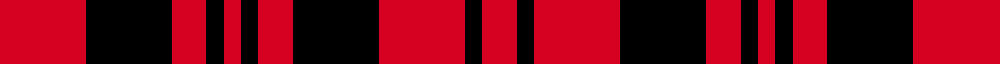 Border Reiver, The