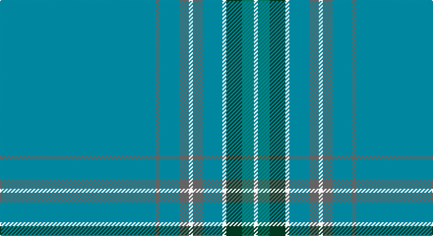T/158 N4 T20 N10 W4 N10 T20 W4 DG16 G12 W/4 tartan