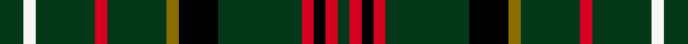 Royal Army of Oman sett