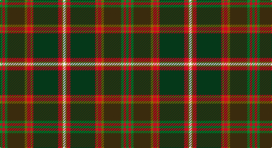 G/4 R4 G4 DY28 Y4 R6 Y2 R2 DG40 R6 Y2 W/4 tartan