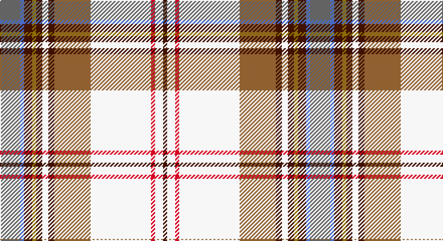 N/20 B4 DO8 Y4 DO6 W6 DO6 O36 W60 R4 W8 DO/4 tartan