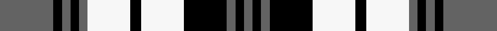 Grey Watch
