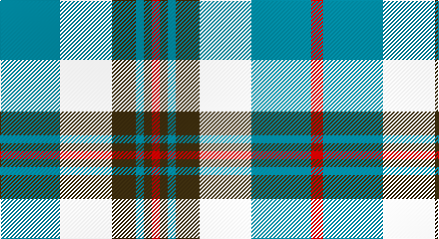 T/60 W52 DY24 T8 DY8 R8 DY8 T8 DY24 W52 T60 R/12 tartan