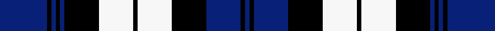 Blue Watch