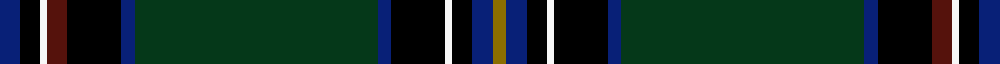 U.S. Special Forces