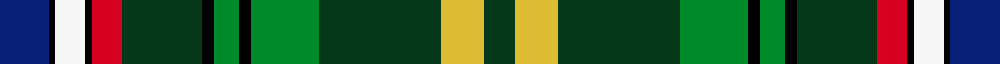 Wild Geese (Corporate)