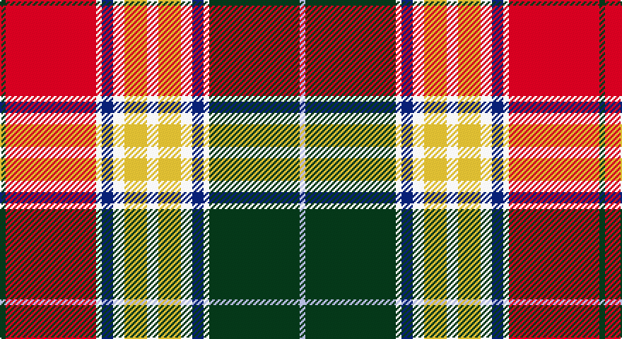 DG/4 R64 W4 DB8 W8 LY16 W8 LY16 W8 DB8 W4 DG64 LB/4 tartan