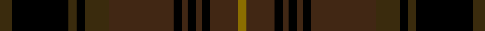 Etihad Airways