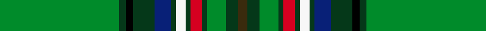 Irish American