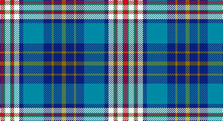 R/8 G2 W10 G2 R4 G2 W10 DB8 T40 DB16 Y4 DB16 Y/8 tartan