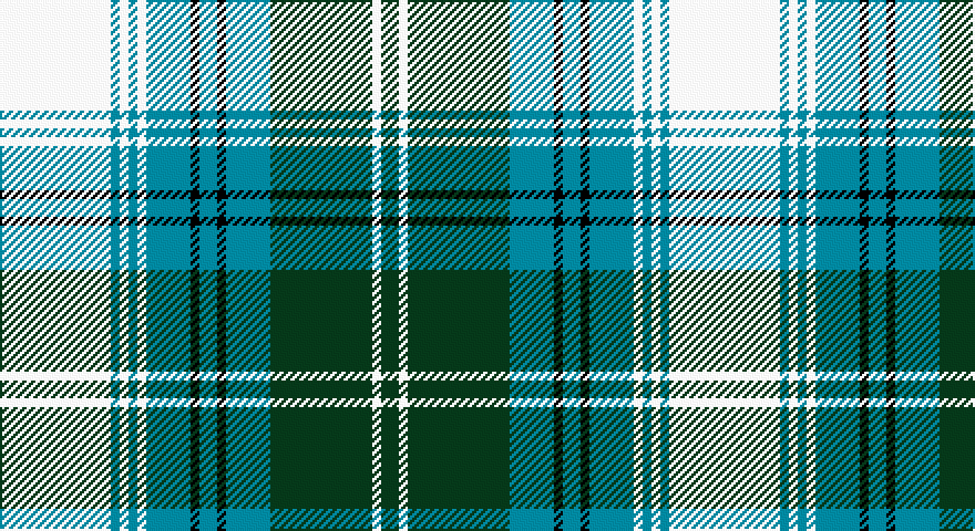 W/50 T4 W4 T4 W4 T20 K4 T8 K4 T20 DG46 W4 DG/8 tartan