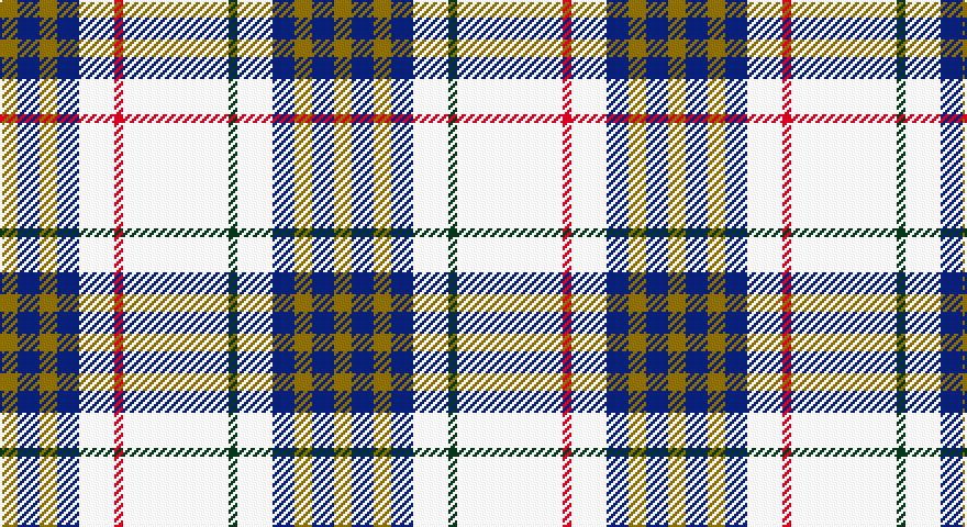 Y/8 DB10 Y8 DB10 W16 R4 W48 DG4 W16 DB10 Y8 DB10 Y/8 tartan