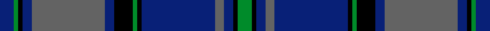 Tiger of Sweden