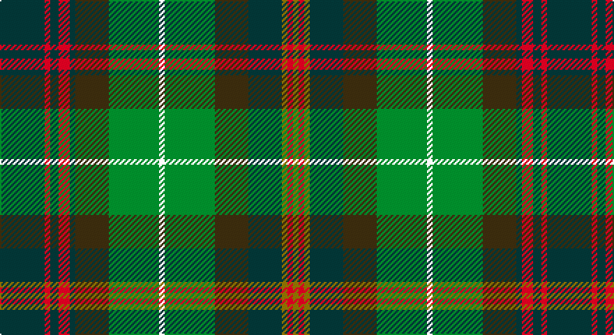 DT/32 R4 DT6 R8 DT4 DY24 G36 W4 G36 DY24 DT24 Y4 R4 Y/4 tartan