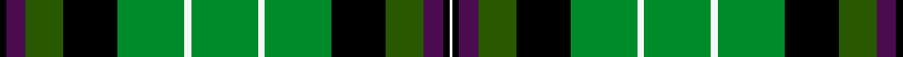 Hibernian Football Club (2004)