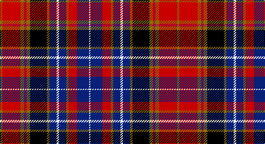 Y/4 Ri30 Y6 R4 Y6 K28 Y4 DB12 W4 DB12 Y4 Ri14 DB20 W/2 tartan
