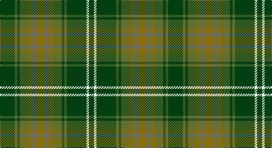 DG/24 G4 DG4 G14 Y8 B4 Y16 B4 Y8 G14 DG4 G4 DG32 W4 DG/8 tartan