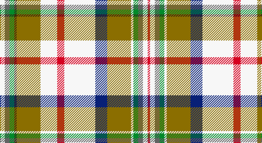 W/8 N8 G8 DY4 Y40 W28 R12 W52 DB20 Y40 W4 G8 N8 W8 R/4 tartan