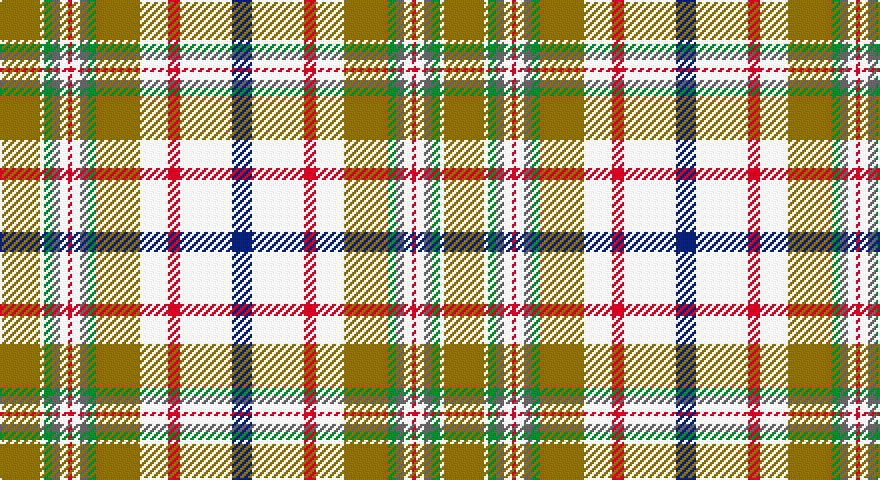 Y/20 W2 G4 N4 W4 R2 W4 N4 G4 O2 Y20 W14 R6 W26 DB/10 tartan