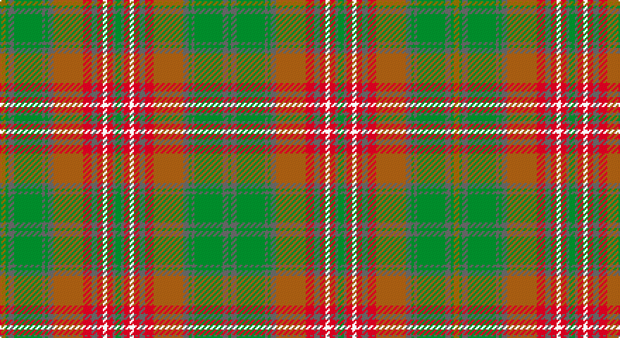 Y/4 G2 N4 G20 N2 G2 N4 O21 R6 N4 R4 W3 R4 N2 G/4 tartan