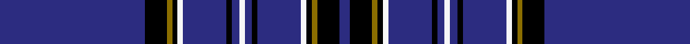 Suffolk County Police