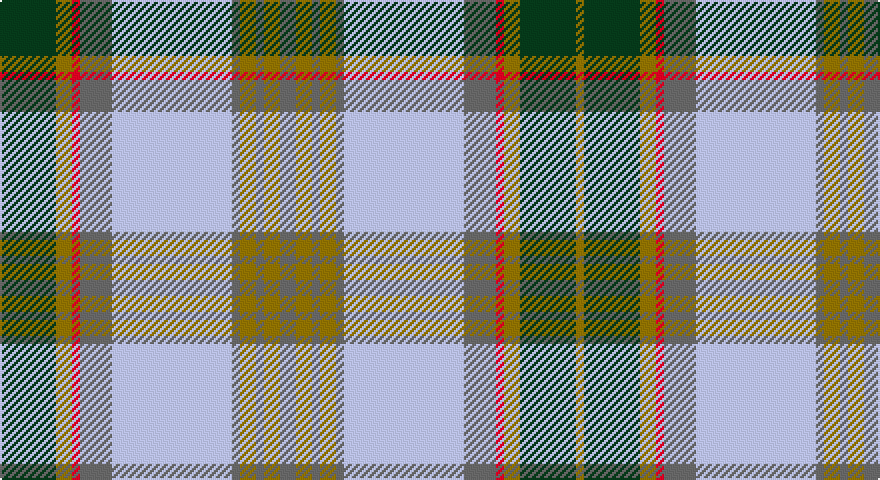 DG/28 Y8 R4 N16 LB60 N4 Y8 N4 Y8 N8 Y8 N4 Y8 N4 LB60 N16 R4 Y8 DG28 Y/4 tartan