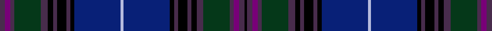 Spirit of Bannockburn Fashion Tartan