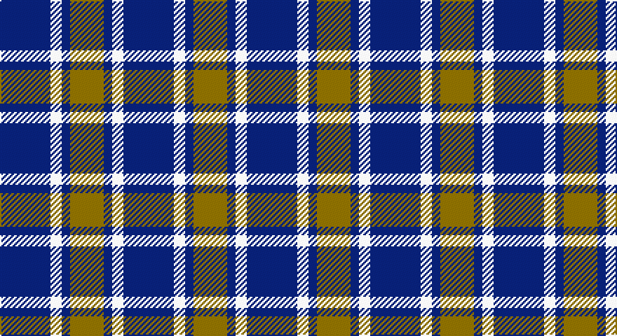 DB/36 W8 DB6 Y/24 tartan