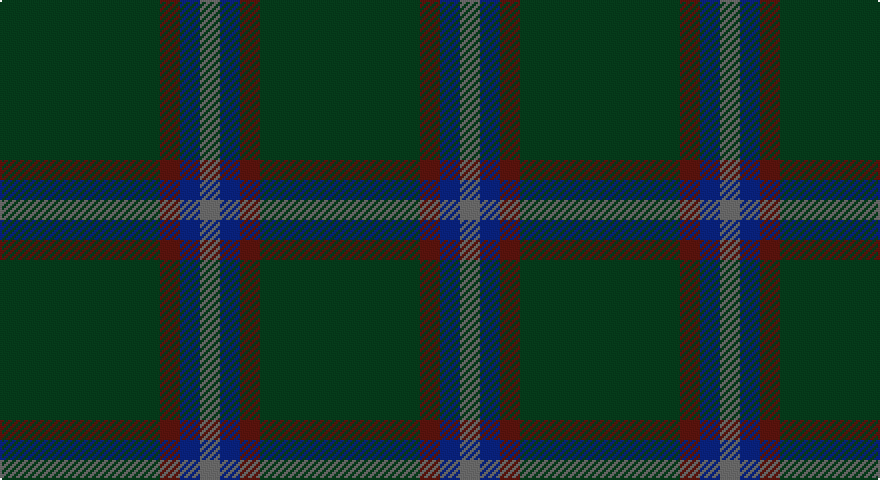 DG/80 DR10 DB10 N/10 tartan