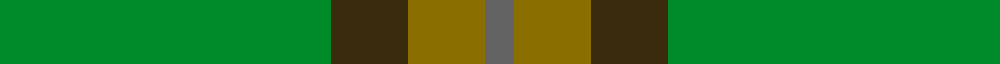 Colonial Marine (Aliens Legacy)