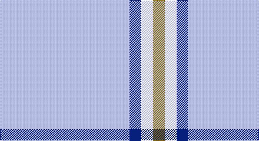 LB/220 DB20 W20 Y/20 tartan