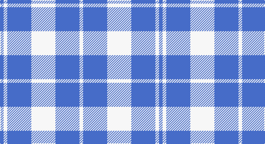 W/40 B40 W6 B/6 tartan