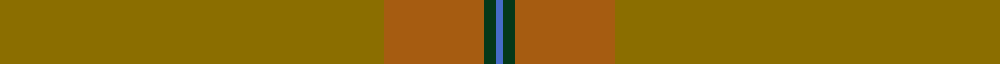 13, Irish Regiment