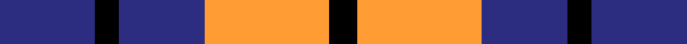 Johore Regiment sett